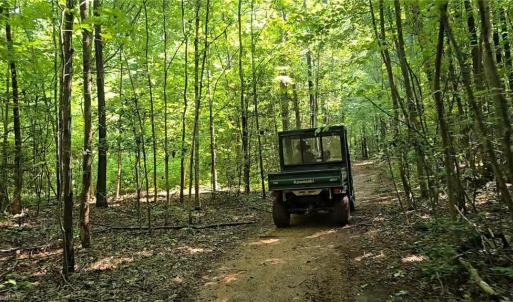 Photo #6 of Boone Farm, Asheboro, NC 80.9 acres