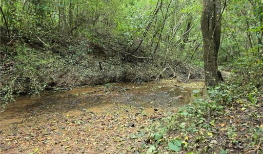 Photo #17 of Boone Farm, Asheboro, NC 80.9 acres