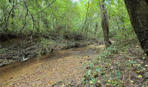 Photo #16 of Boone Farm, Asheboro, NC 80.9 acres