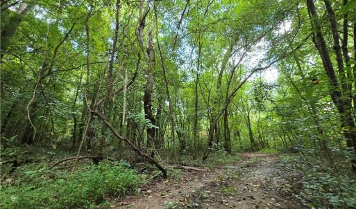 Photo #12 of Boone Farm, Asheboro, NC 80.9 acres