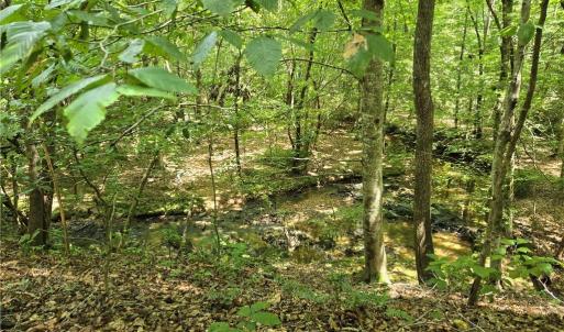 Photo #26 of Boone Farm, Asheboro, NC 80.9 acres