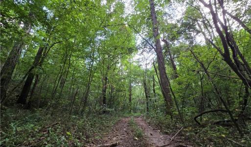 Photo #22 of Boone Farm, Asheboro, NC 80.9 acres