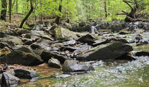 Photo #3 of Boone Farm, Asheboro, NC 80.9 acres