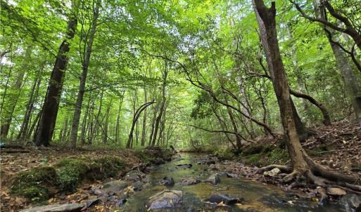 Photo #1 of Boone Farm, Asheboro, NC 80.9 acres