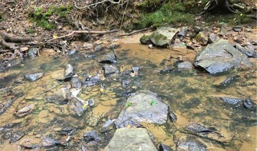 Photo #28 of Boone Farm, Asheboro, NC 80.9 acres