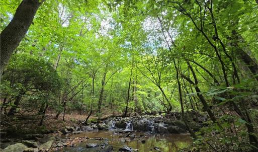 Photo #9 of Boone Farm, Asheboro, NC 80.9 acres