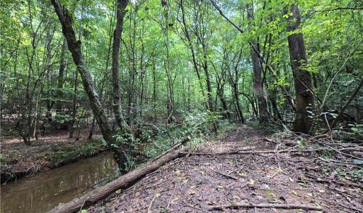 Photo #24 of Boone Farm, Asheboro, NC 80.9 acres