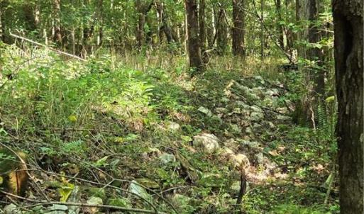 Photo #38 of Boone Farm, Asheboro, NC 80.9 acres