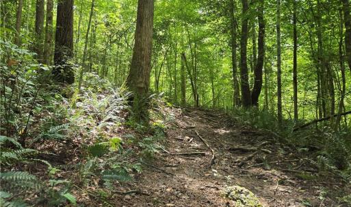 Photo #33 of Boone Farm, Asheboro, NC 80.9 acres