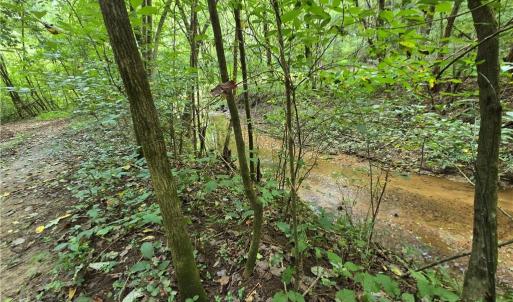 Photo #14 of Boone Farm, Asheboro, NC 80.9 acres