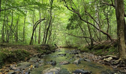 Photo #41 of Boone Farm, Asheboro, NC 80.9 acres