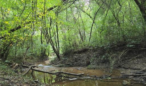 Photo #18 of Boone Farm, Asheboro, NC 80.9 acres