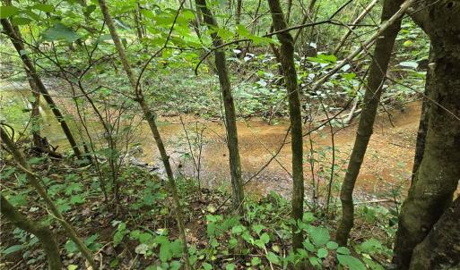 Photo #15 of Boone Farm, Asheboro, NC 80.9 acres