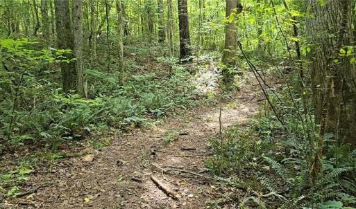 Photo #40 of Boone Farm, Asheboro, NC 80.9 acres