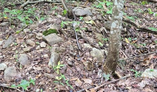 Photo #35 of Boone Farm, Asheboro, NC 80.9 acres