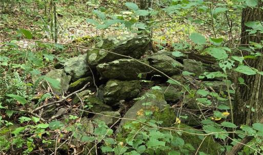 Photo #31 of Boone Farm, Asheboro, NC 80.9 acres