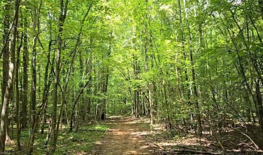 Photo #39 of Boone Farm, Asheboro, NC 80.9 acres