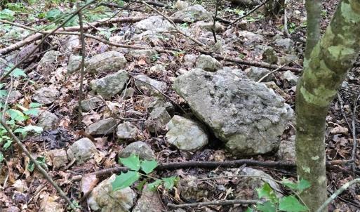 Photo #8 of Boone Farm, Asheboro, NC 80.9 acres