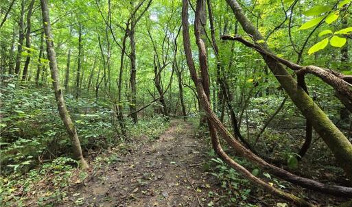 Photo #25 of Boone Farm, Asheboro, NC 80.9 acres