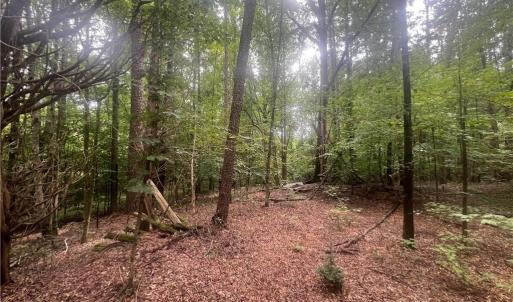 Photo #4 of 5930 Pagemont, Kannapolis, NC 3.6 acres