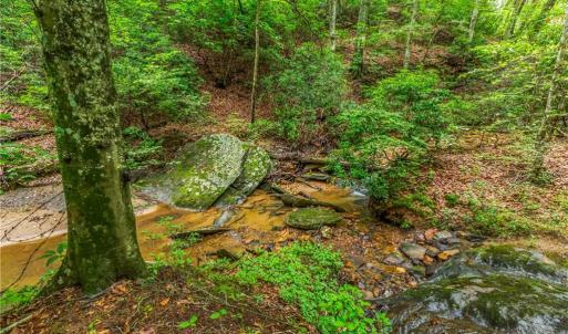 Photo #23 of 1451 John Ed Mabe, Danbury, NC 72.2 acres