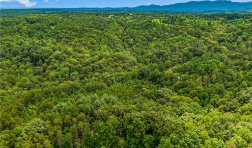 Photo #6 of 1451 John Ed Mabe, Danbury, NC 72.2 acres