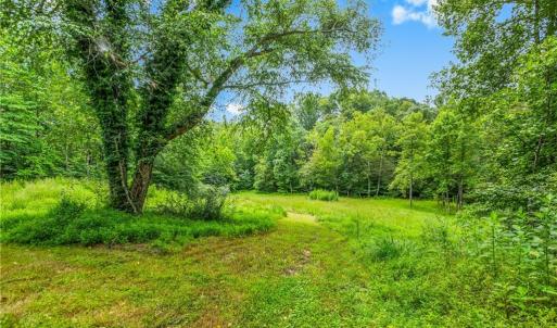 Photo #17 of 1451 John Ed Mabe, Danbury, NC 72.2 acres