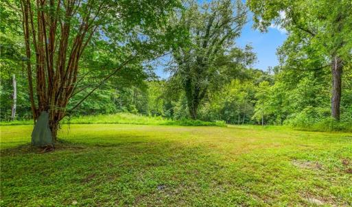 Photo #16 of 1451 John Ed Mabe, Danbury, NC 72.2 acres