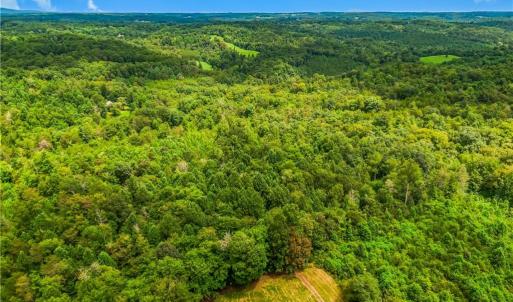 Photo #12 of 1451 John Ed Mabe, Danbury, NC 72.2 acres