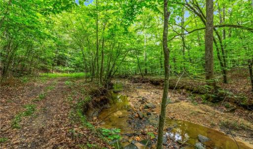 Photo #22 of 1451 John Ed Mabe, Danbury, NC 72.2 acres