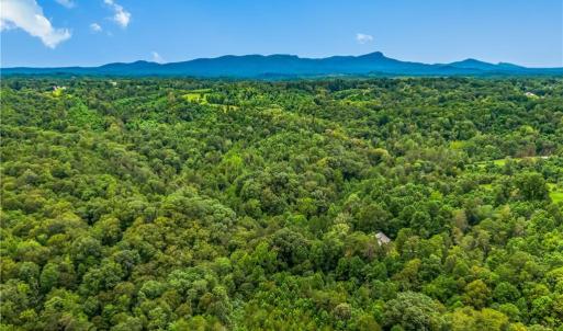 Photo #7 of 1451 John Ed Mabe, Danbury, NC 72.2 acres