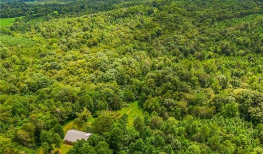 Photo #3 of 1451 John Ed Mabe, Danbury, NC 72.2 acres