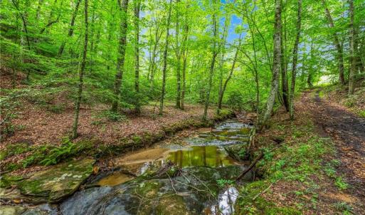 Photo #1 of 1451 John Ed Mabe, Danbury, NC 72.2 acres