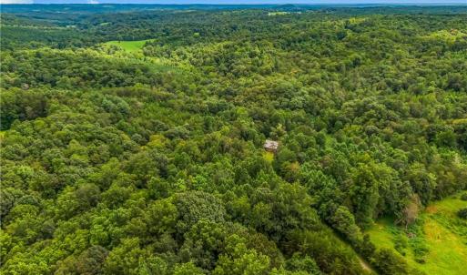 Photo #5 of 1451 John Ed Mabe, Danbury, NC 72.2 acres