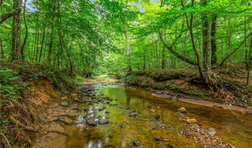 Photo #20 of 1451 John Ed Mabe, Danbury, NC 72.2 acres