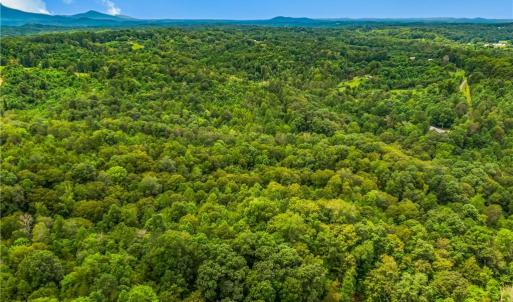 Photo #9 of 1451 John Ed Mabe, Danbury, NC 72.2 acres