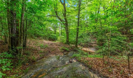 Photo #24 of 1451 John Ed Mabe, Danbury, NC 72.2 acres