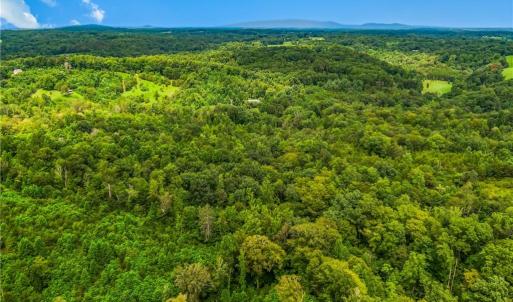 Photo #10 of 1451 John Ed Mabe, Danbury, NC 72.2 acres