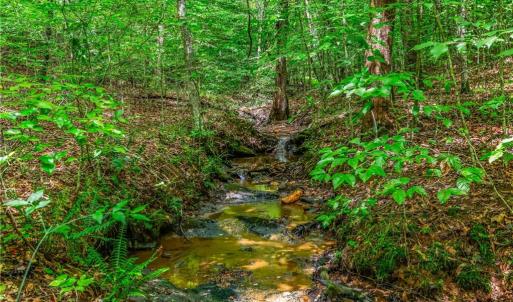 Photo #18 of 1451 John Ed Mabe, Danbury, NC 72.2 acres