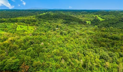 Photo #11 of 1451 John Ed Mabe, Danbury, NC 72.2 acres