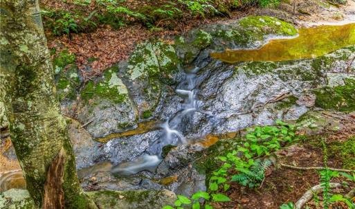 Photo #19 of 1451 John Ed Mabe, Danbury, NC 72.2 acres