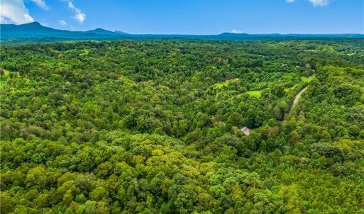 Photo #8 of 1451 John Ed Mabe, Danbury, NC 72.2 acres