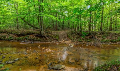 Photo #21 of 1451 John Ed Mabe, Danbury, NC 72.2 acres