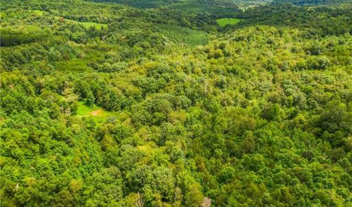 Photo #4 of 1451 John Ed Mabe, Danbury, NC 72.2 acres