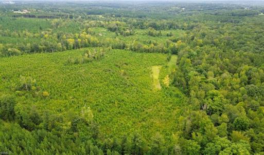 Photo #6 of 1396-1420 Fitch, Yanceyville, NC 72.0 acres