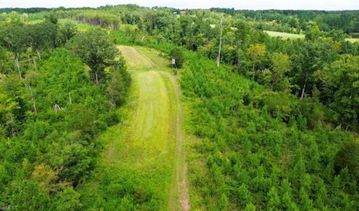 Photo #13 of 1396-1420 Fitch, Yanceyville, NC 72.0 acres