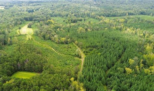 Photo #17 of 1396-1420 Fitch, Yanceyville, NC 72.0 acres