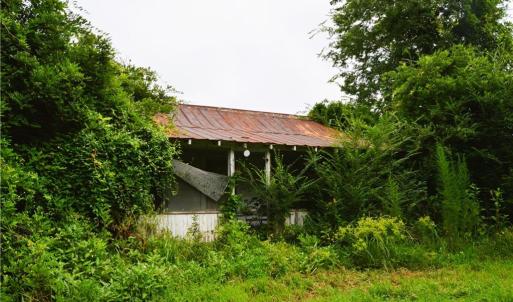 Photo #43 of 1396-1420 Fitch, Yanceyville, NC 72.0 acres