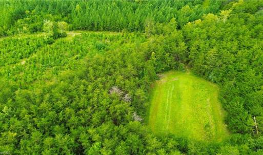 Photo #16 of 1396-1420 Fitch, Yanceyville, NC 72.0 acres