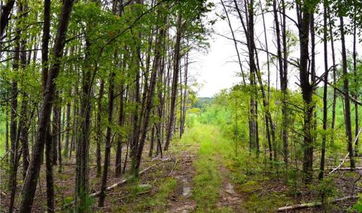 Photo #22 of 1396-1420 Fitch, Yanceyville, NC 72.0 acres